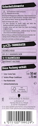 Tönung Farb/Artist Blueberry Lila 094, 1 St got2b