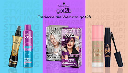 Tönung Farb/Artist Blueberry Lila 094, 1 St got2b