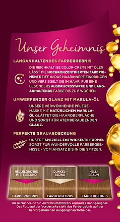Haarfarbe 546 Karamell Goldblond Palette Intensive Color Creme