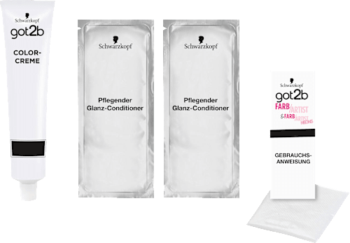 Tönung Farb/Artist Blueberry Lila 094, 1 St got2b