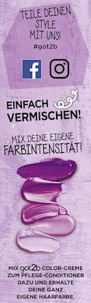 Tönung Farb/Artist Blueberry Lila 094, 1 St got2b