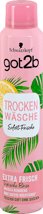 Trockenwäsche Trockenshampoo Sofort-Frische Extra Frisch got2b