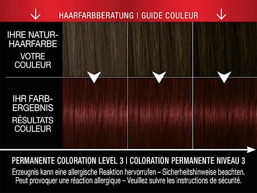 Haarfarbe 4_2 Mahagoni syoss