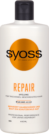 Repair Spülung syoss