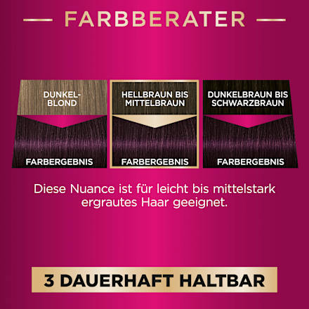 Haarfarbe 880 Aubergine, 1 St Palette Intensive Color Creme