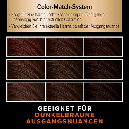 Ansatzset A4 Dunkelbraun  Schwarzkopf DIADEM