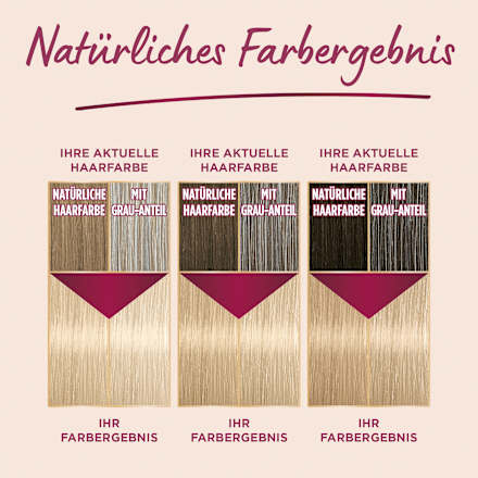 Haarfarbe Vital Color 10-11 Silberblond Palette Intensive Color Creme