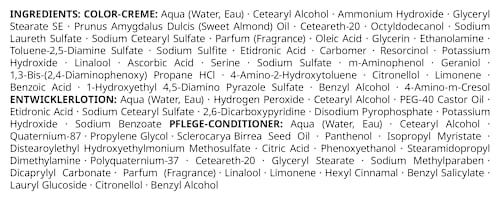 Haarfarbe 9-11 Helles Roségrau Palette Intensive Color Creme