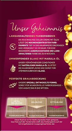 Haarfarbe 9-11 Helles Roségrau Palette Intensive Color Creme