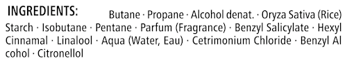 Trockenshampoo Extra Frisch got2b