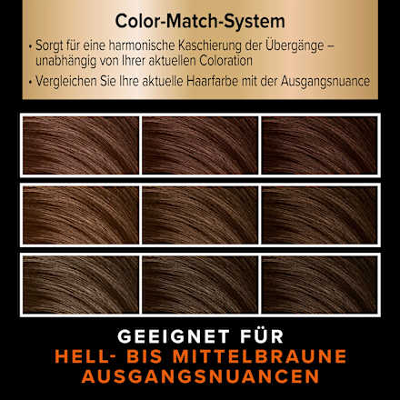 Ansatzset A1 Hell-bis Mittelbraun  Schwarzkopf DIADEM