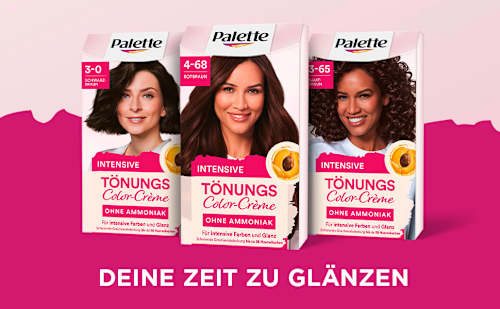 Haartönung Color-Crème 4-68 Rotbraun Palette Intensive Color Creme