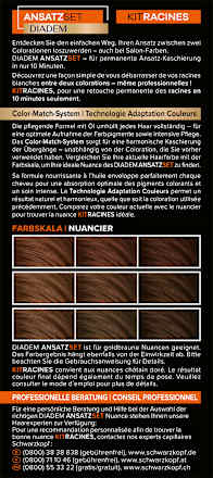 Ansatzset A2 Goldbraun  Schwarzkopf DIADEM