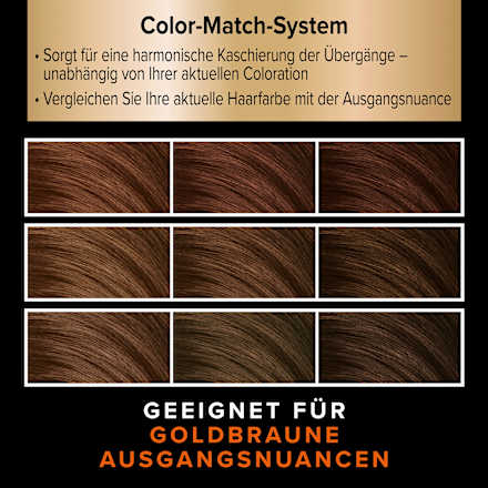 Ansatzset A2 Goldbraun  Schwarzkopf DIADEM