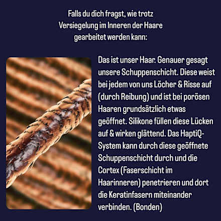 Haarkur Night Elixier Anti-Spliss Wunder Schwarzkopf GLISS