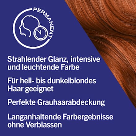 Haarfarbe 077 Caramel Copper Schwarzkopf LIVE