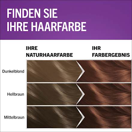 Haarfarbe Schaum 668 Haselnuss Schwarzkopf Perfect Mousse