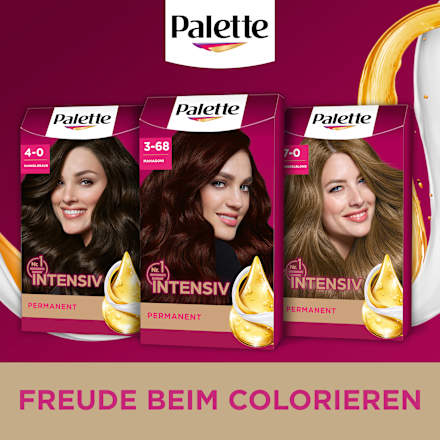 Haarfarbe 3-68/878 Mahagoni Palette Intensive Color Creme