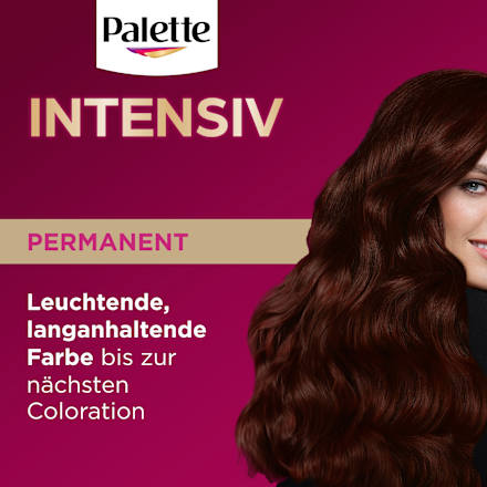 Haarfarbe 3-68/878 Mahagoni Palette Intensive Color Creme