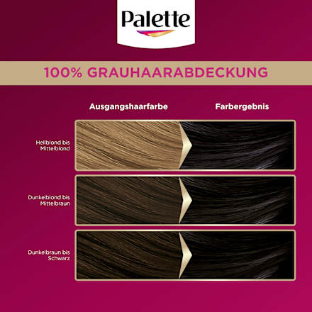 Haarfarbe 1-0/900 Schwarz Palette Intensive Color Creme