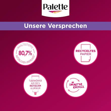 Haarfarbe 11-11 Ultra Titanium Blond Palette Intensive Color Creme