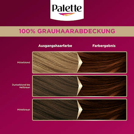Haarfarbe 5-68/650 Kastanie Palette Intensive Color Creme