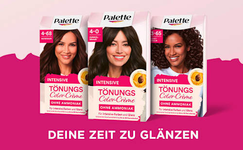 Haartönung Color-Crème 4-0 Dunkelbraun Palette Intensive Color Creme