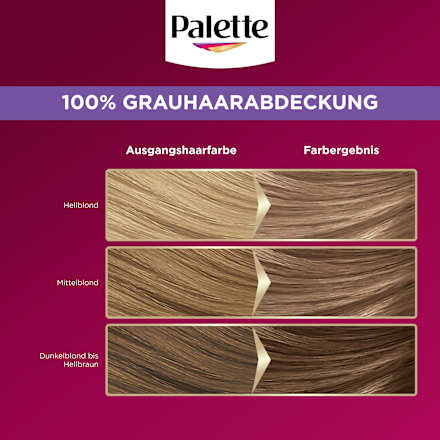 Haarfarbe 8-11 Kühles Naturblond Palette Intensive Color Creme