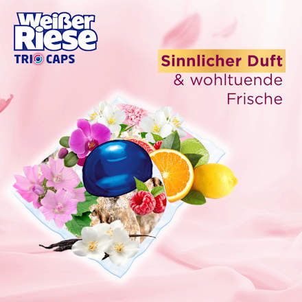Colorwaschmittel Trio-Caps Aromatherapie Orchidee Weißer Riese