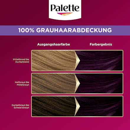 Haarfarbe 4-99 Aubergine  Palette Intensive Color Creme