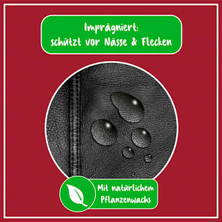 Möbelpflege Intensiv Leder Poliboy