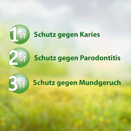 Zahnpasta Madaus F Salviagalen