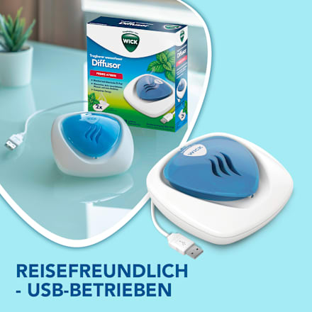 Tragbarer Wasserloser Diffusor Wick