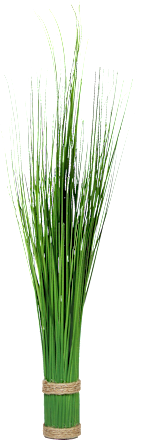 Grasbündel 60cm keine Marke