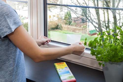 Fliegenfalle Fenster  Aeroxon