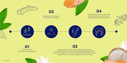 Weisses Curcuma Kapseln 30 St Zirkulin