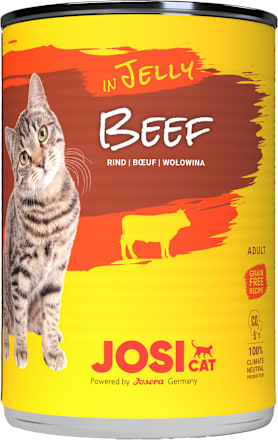 Karma mokra dla kota wołowina w galaretce adult JosiCat