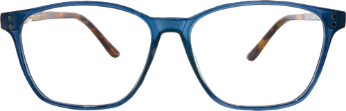 Naočale za čitanje – plavo-smeđe, dioptrija +2,0 visiomax