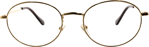 Fertig-Lesebrille Vollrand gold + 3,50 Visiomax