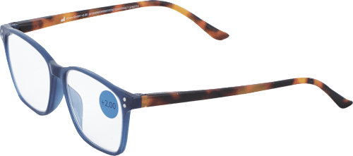 Očala za branje, dioptrija: +2,00, modra s pisanimi ročaji Visiomax