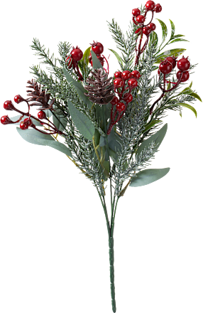 Tannenzweig mit Beeren & Zapfen Dekorieren & Einrichten