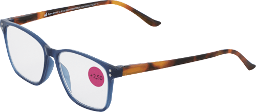 Očala za branje, dioptrija: +2,50, modra s pisanimi ročaji visiomax