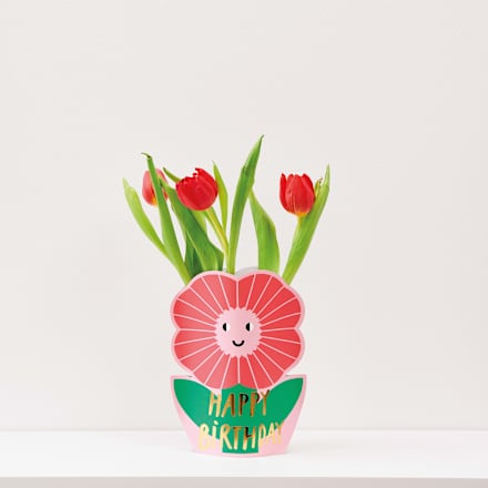 Cover aus Papier für Vasen "Happy Birthday" RICO DESIGN