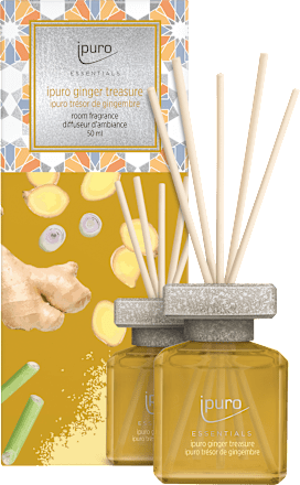 Essentials Raumduft Ginger Treasure ipuro