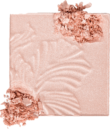 Mega Glo hajlajter u prahu - E319B Bloosom Glow wet n wild