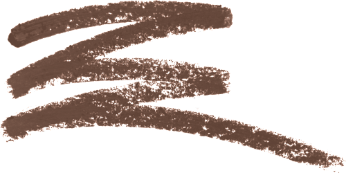 coloricon olovka za obrve – E6231 Brunettes Do It Better wet n wild