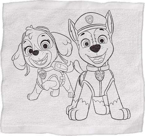 Badeseifen Stifte + Handtuch 5tlg. Paw Patrol