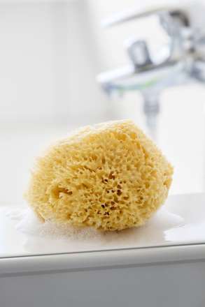 Badeschwamm Natur ebelin