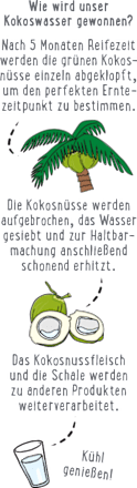 Kokoswasser Natur dmBio