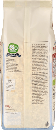 Basis-Müsli mit Saaten glutenfrei  dmBio